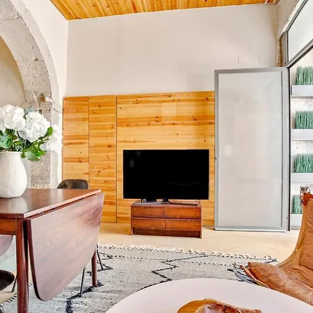 Apartment Architect Design Loft 18 Century *